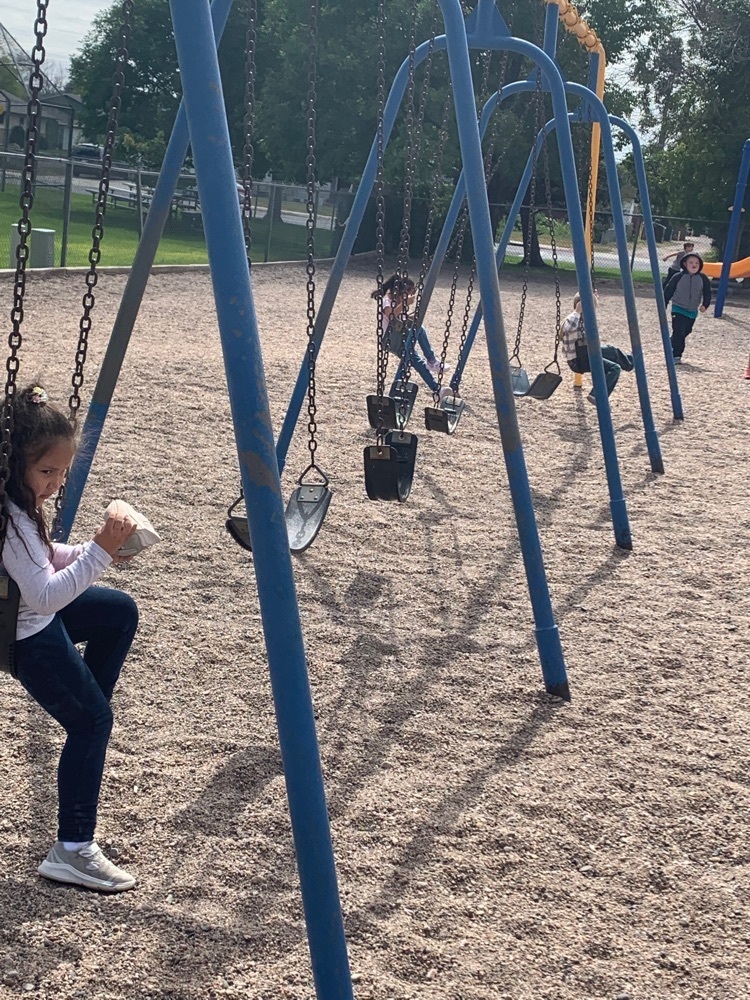 don’t you just love the swings